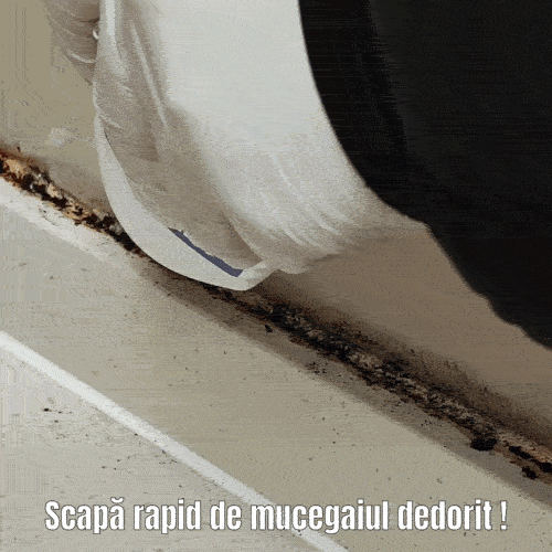 Gel Magic pentru Mucegai